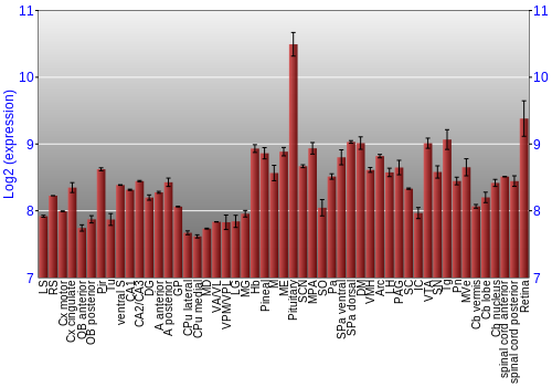Expression graph