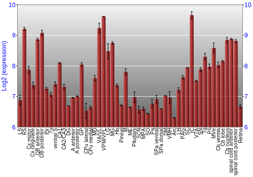 Expression graph