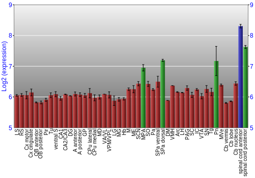 Multi-state expression graph