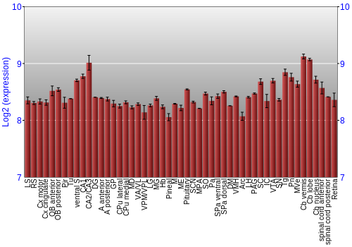 Expression graph