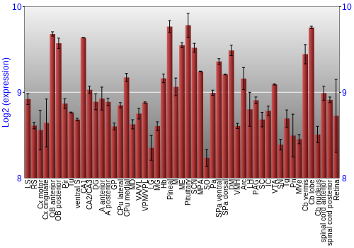 Expression graph