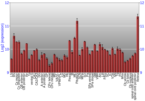 Expression graph