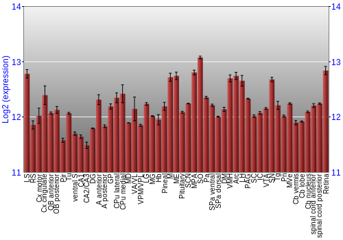 Expression graph