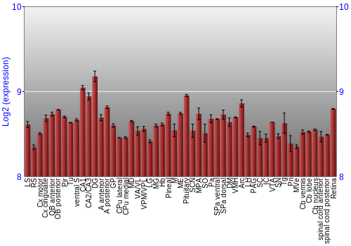 Expression graph