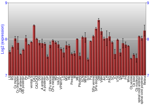 Expression graph
