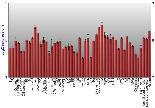 Expression graph