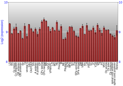 Expression graph