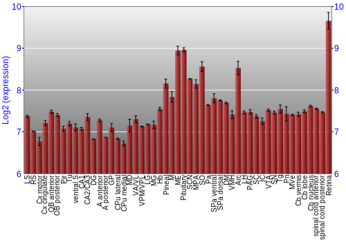 Expression graph