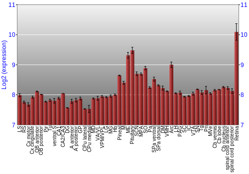 Expression graph