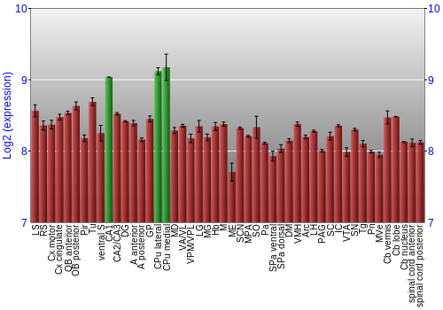 Multi-state expression graph