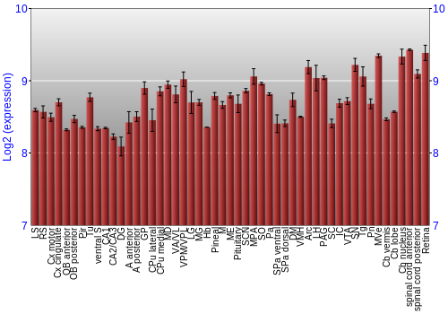 Expression graph