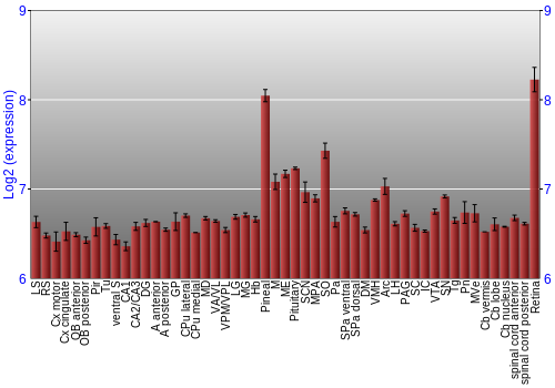 Expression graph