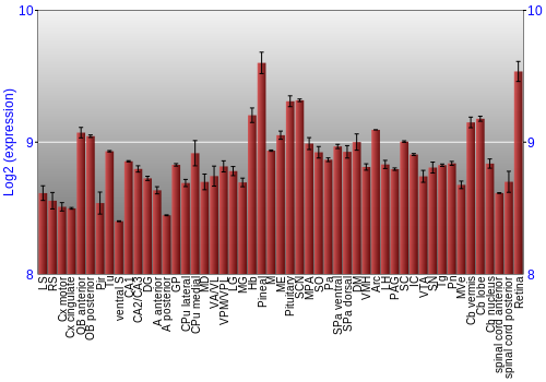 Expression graph