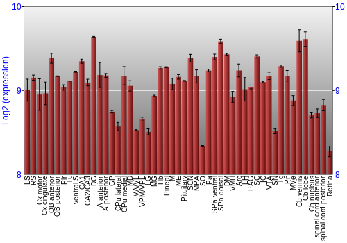 Expression graph