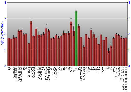 Multi-state expression graph