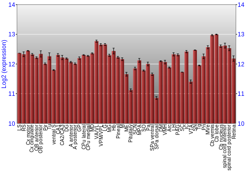 Expression graph