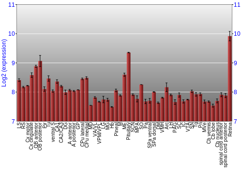 Expression graph