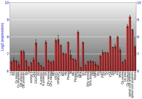 Expression graph