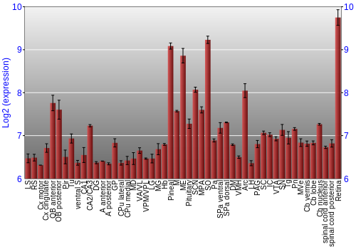 Expression graph