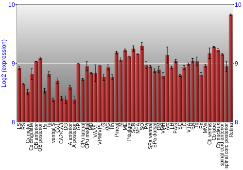 Expression graph