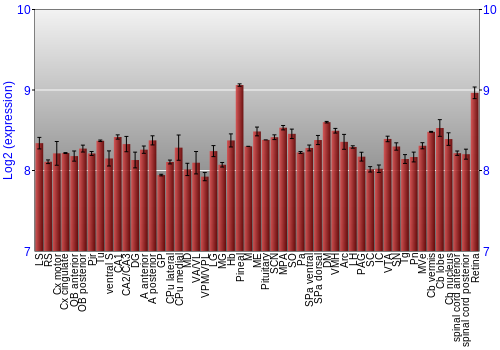 Expression graph