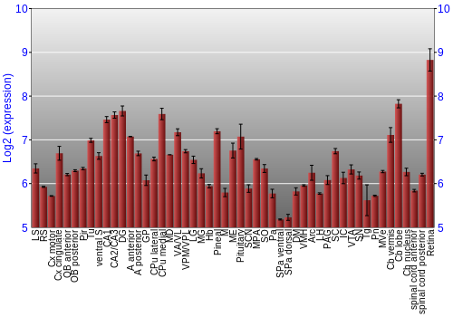 Expression graph