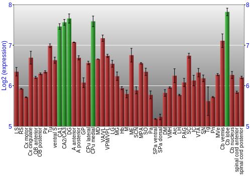 Multi-state expression graph