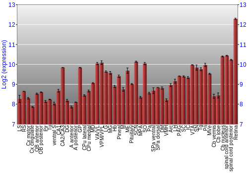 Expression graph
