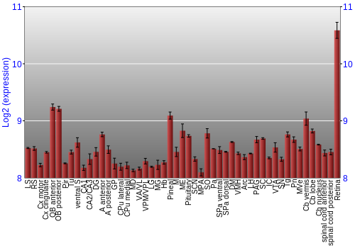 Expression graph