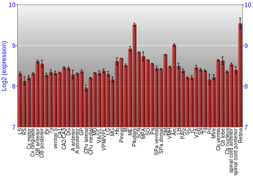 Expression graph