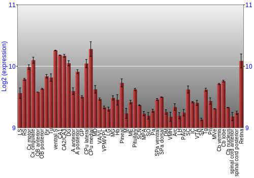 Expression graph