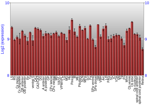 Expression graph