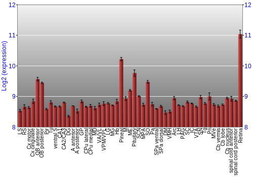 Expression graph