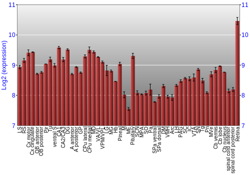 Expression graph