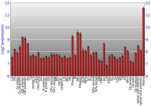Expression graph