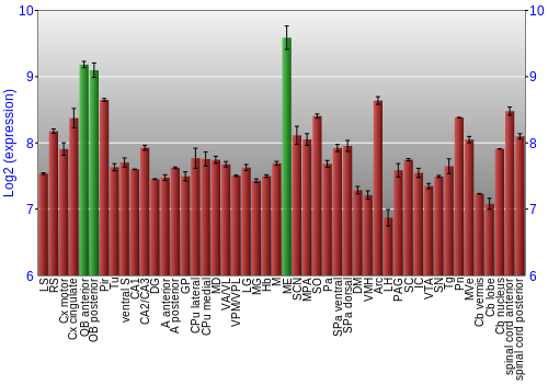 Multi-state expression graph