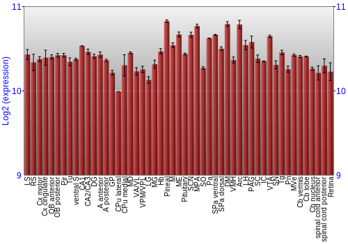Expression graph