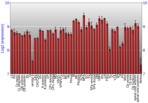 Expression graph