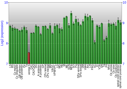 Multi-state expression graph