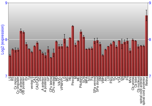 Expression graph