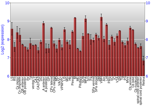 Expression graph