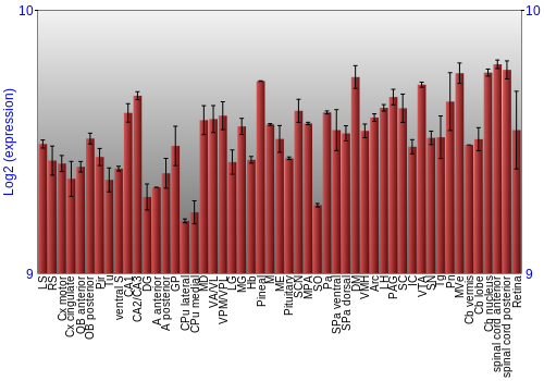 Expression graph