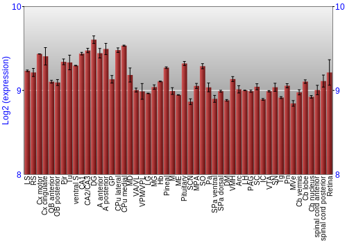 Expression graph