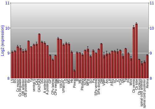 Expression graph