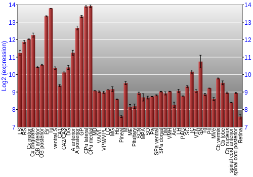 Expression graph