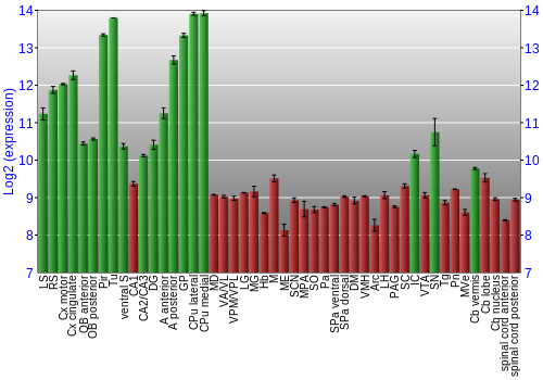 Multi-state expression graph