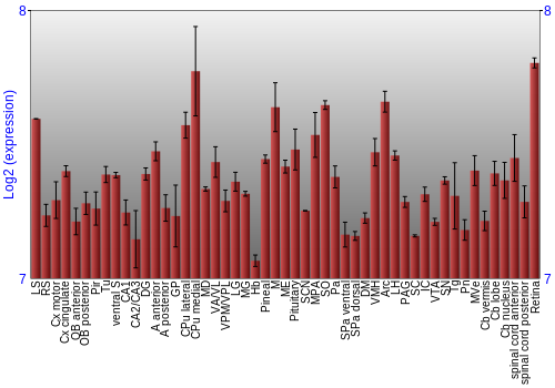 Expression graph