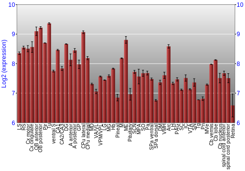 Expression graph