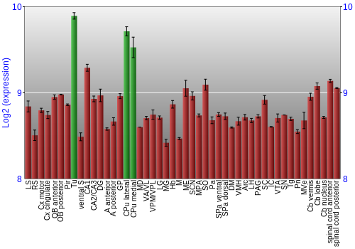 Multi-state expression graph
