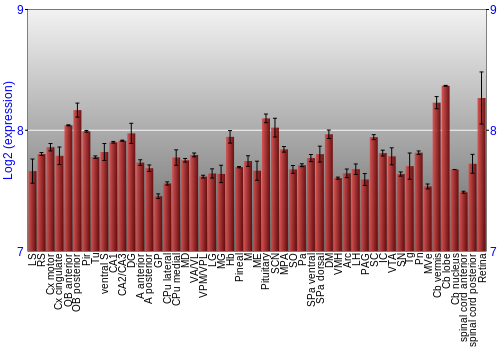 Expression graph